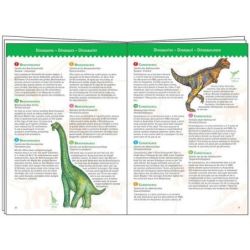 Acheter puzzle Djeco Observation Dinosaures