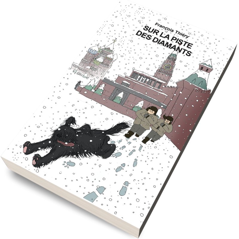 Acheter livre dont vous êtes le héros Sur la piste des diamants