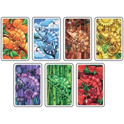 Découvrez le jeu Oya : Coloretto