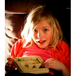 L'Aventurier est un Casse-tête de la marque Smart Games