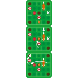 Lièvres & Renards est un Casse-tête de la marque Smart Games