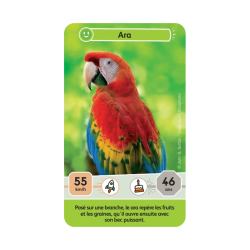 L'édition Junior - Mystères de la Jungle de Défis Nature.