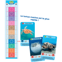 L'édition Junior - Merveilles de la Mer de Défis Nature.