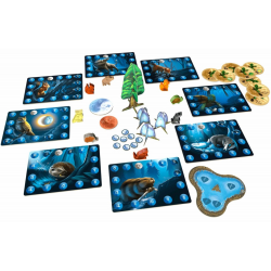 Acheter le jeu de société Photosynthesis extension Under The Moonlight