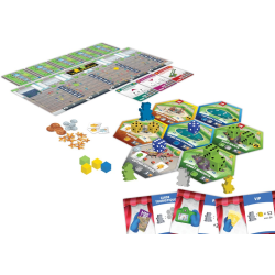 Acheter jeu de société Dice Theme Park